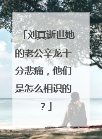 刘真逝世她的老公辛龙十分悲痛,他们是怎么相识的?