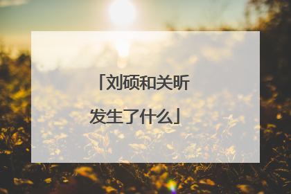 刘硕和关昕发生了什么