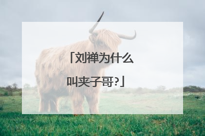 刘禅为什么叫夹子哥?