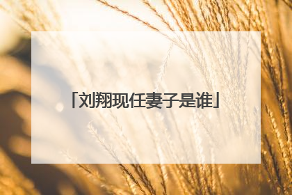 刘翔现任妻子是谁