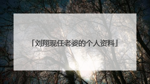 刘翔现任老婆的个人资料