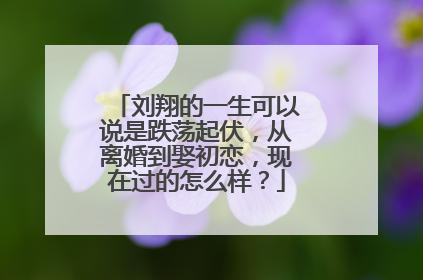 刘翔的一生可以说是跌荡起伏,从离婚到娶初恋,现在过的怎么样?