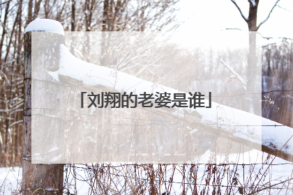 刘翔的老婆是谁