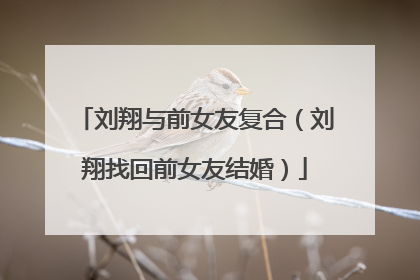 刘翔与前女友复合(刘翔找回前女友结婚)