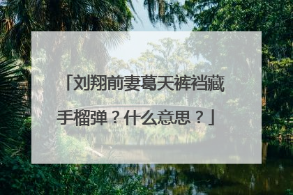 刘翔前妻葛天裤裆藏手榴弹？什么意思？