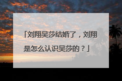 刘翔吴莎结婚了,刘翔是怎么认识吴莎的?