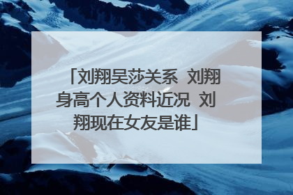 刘翔吴莎关系 刘翔身高个人资料近况 刘翔现在女友是谁