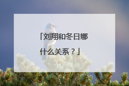 刘翔和冬日娜什么关系？
