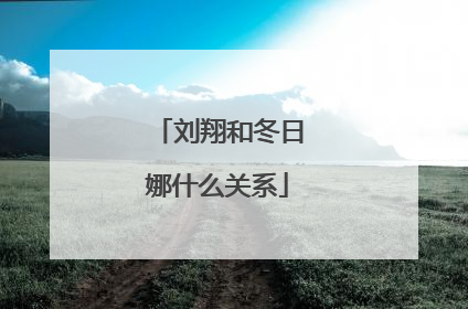 刘翔和冬日娜什么关系