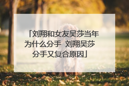 刘翔和女友吴莎当年为什么分手 刘翔吴莎分手又复合原因