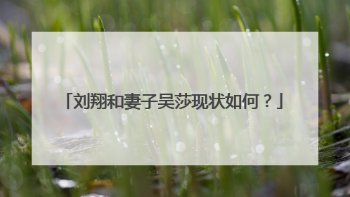 刘翔和妻子吴莎现状如何?