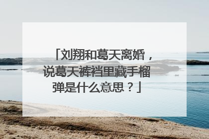 刘翔和葛天离婚，说葛天裤裆里藏手榴弹是什么意思？