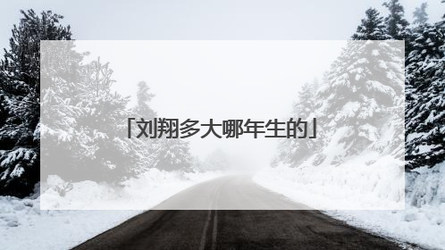 刘翔多大哪年生的