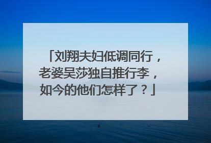 刘翔夫妇低调同行，老婆吴莎独自推行李，如今的他们怎样了？