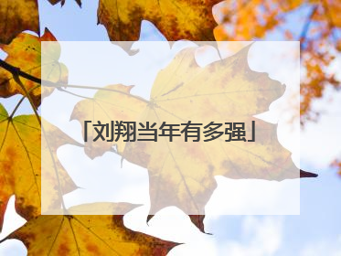 刘翔当年有多强