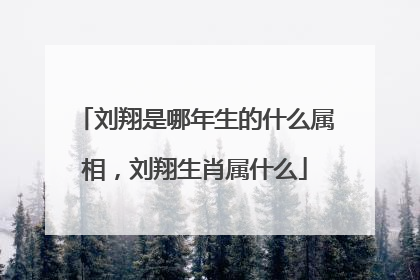 刘翔是哪年生的什么属相，刘翔生肖属什么