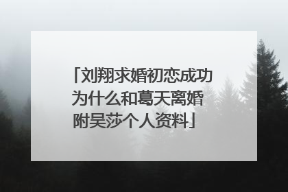 刘翔求婚初恋成功 为什么和葛天离婚附吴莎个人资料