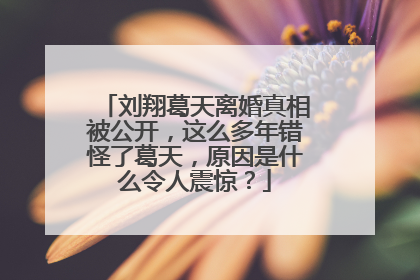 刘翔葛天离婚真相被公开,这么多年错怪了葛天,原因是什么令人震惊?