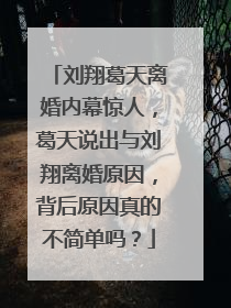 刘翔葛天离婚内幕惊人,葛天说出与刘翔离婚原因,背后原因真的不简单吗?