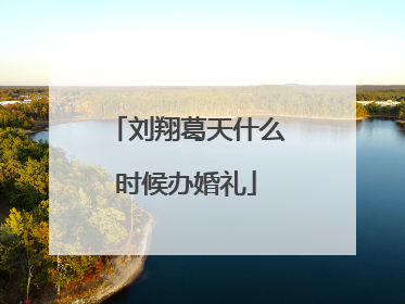 刘翔葛天什么时候办婚礼