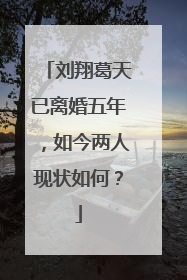 刘翔葛天已离婚五年,如今两人现状如何?