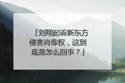 刘翔起诉新东方侵害肖像权，这到底是怎么回事？