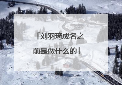 刘羽琦成名之前是做什么的