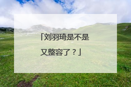 刘羽琦是不是又整容了？