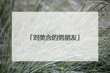 刘美含的男朋友