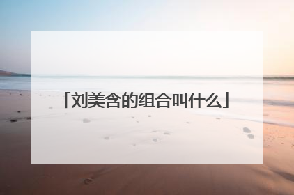 刘美含的组合叫什么