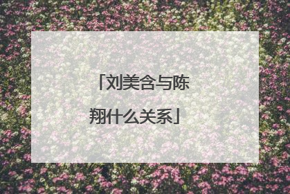 刘美含与陈翔什么关系
