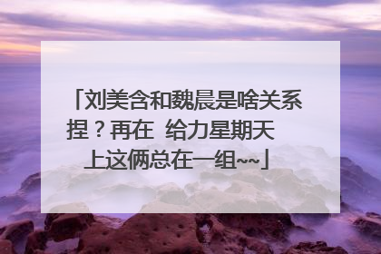 刘美含和魏晨是啥关系捏？再在 给力星期天 上这俩总在一组~~