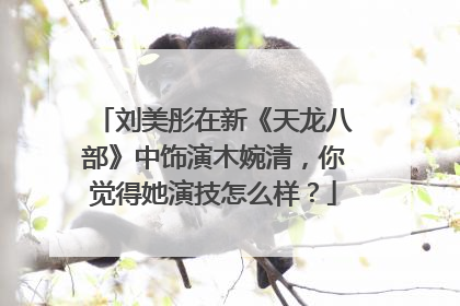 刘美彤在新《天龙八部》中饰演木婉清，你觉得她演技怎么样？