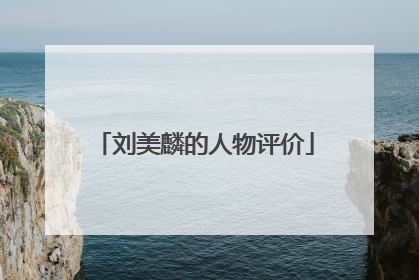 刘美麟的人物评价