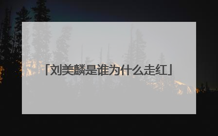刘美麟是谁为什么走红