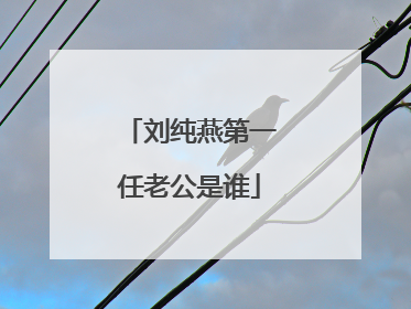 刘纯燕第一任老公是谁