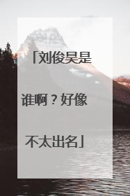 刘俊昊是谁啊?好像不太出名