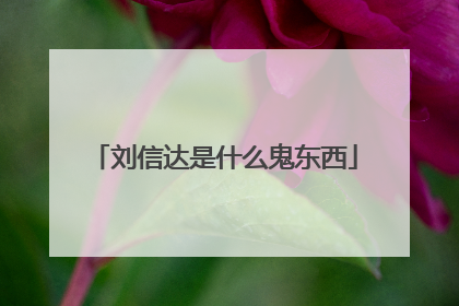 刘信达是什么鬼东西