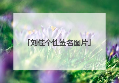 刘佳个性签名图片