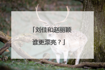 刘佳和赵丽颖谁更漂亮?