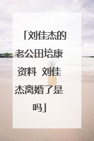 刘佳杰的老公田培康资料 刘佳杰离婚了是吗