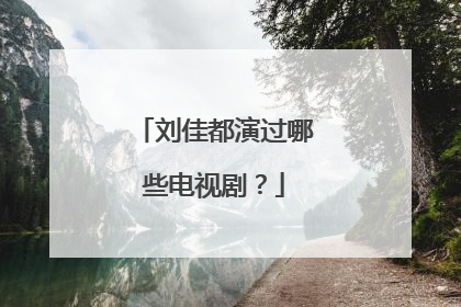 刘佳都演过哪些电视剧?