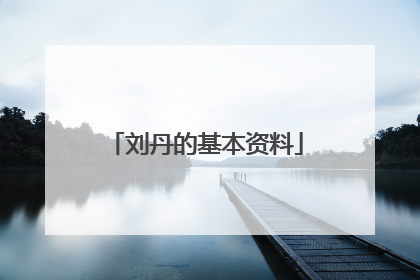 刘丹的基本资料