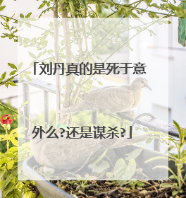 刘丹真的是死于意外么?还是谋杀?