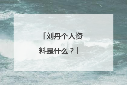 刘丹个人资料是什么？