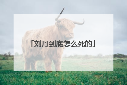 刘丹到底怎么死的