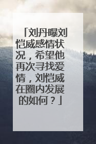 刘丹曝刘恺威感情状况,希望他再次寻找爱情,刘恺威在圈内发展的如何?