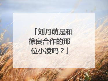 刘丹萌是和徐良合作的那位小凌吗？