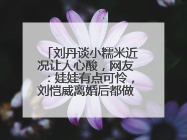 刘丹谈小糯米近况让人心酸，网友：娃娃有点可怜，刘恺威离婚后都做了什么？
