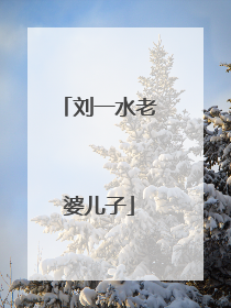 刘一水老婆儿子
